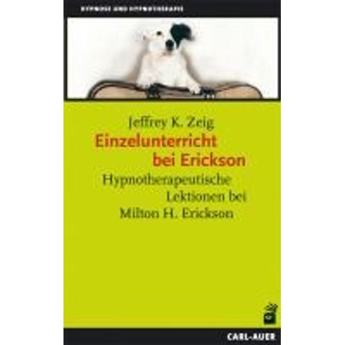 Einzelunterricht Bei Erickson