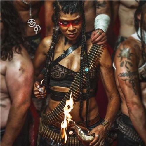 Shaka Ponk - Cd Album