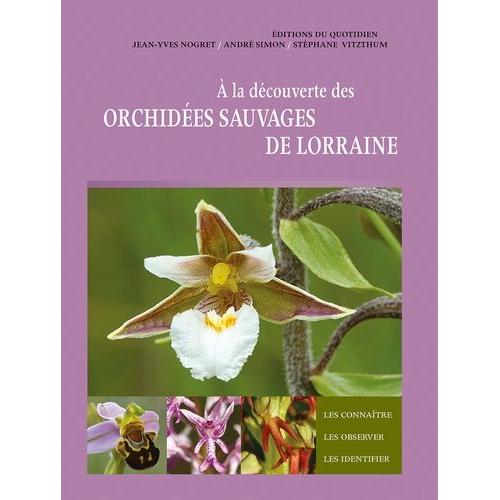 A La Découverte Des Orchidées Sauvages De Lorraine