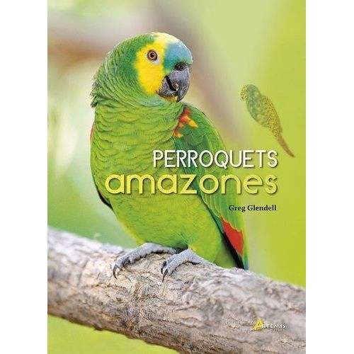 Perroquets Amazones