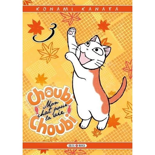 Choubi-Choubi - Mon Chat Pour La Vie - Tome 3