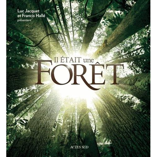 Il Était Une Forêt