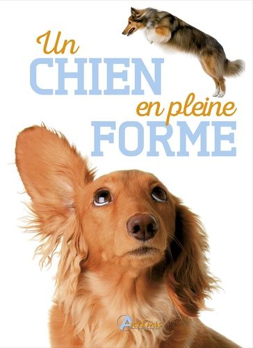 Un Chien En Pleine Forme