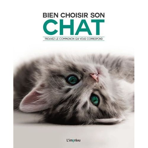 Bien Choisir Son Chat - Trouver Le Compagnon Qui Vous Correspond