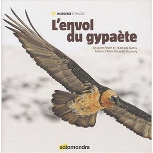 L'envol Du Gypaète