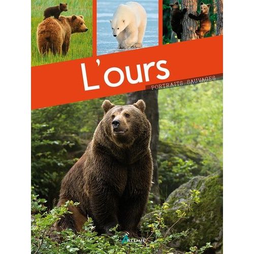 L'ours
