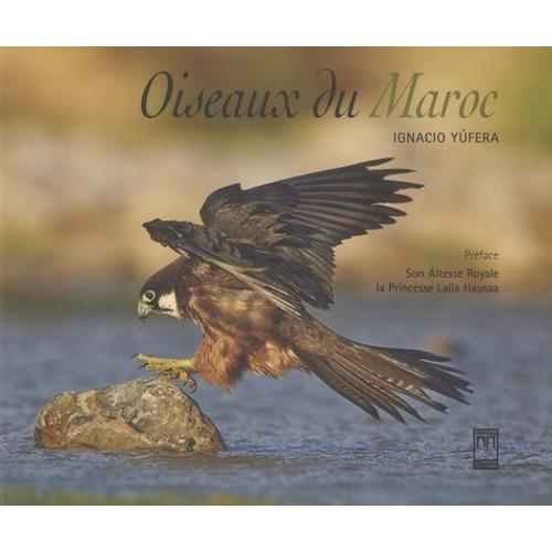 Oiseaux Du Maroc