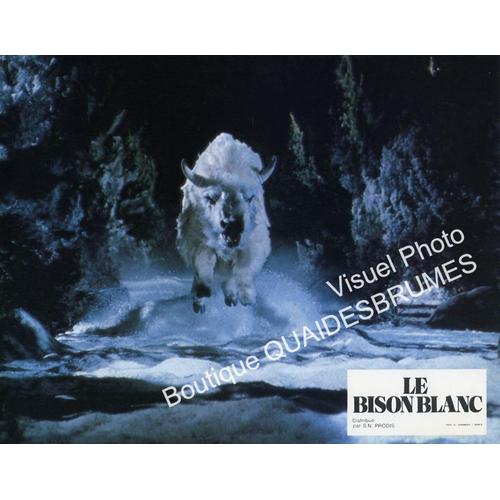 Le Bison Blanc (The White Buffalo) : Jeu B De 10 Photos D'exploitation Cinématographique - Format 21x27 Cm - De Jack Lee Thompson Avec Charles Bronson, Kim Novak, Jack Warden, John Carradine - 1977