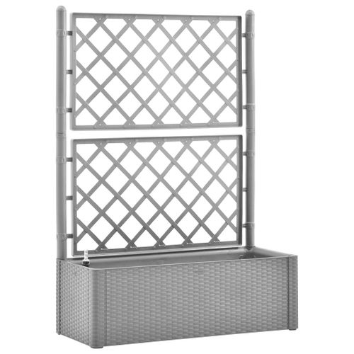 Vidaxl Lit Surélevé De Jardin Et Treillis Et Système D'arrosage Gris