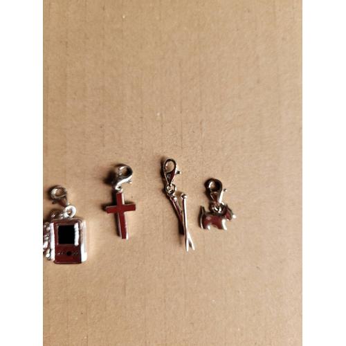 Lot De 6 Charms Neuf