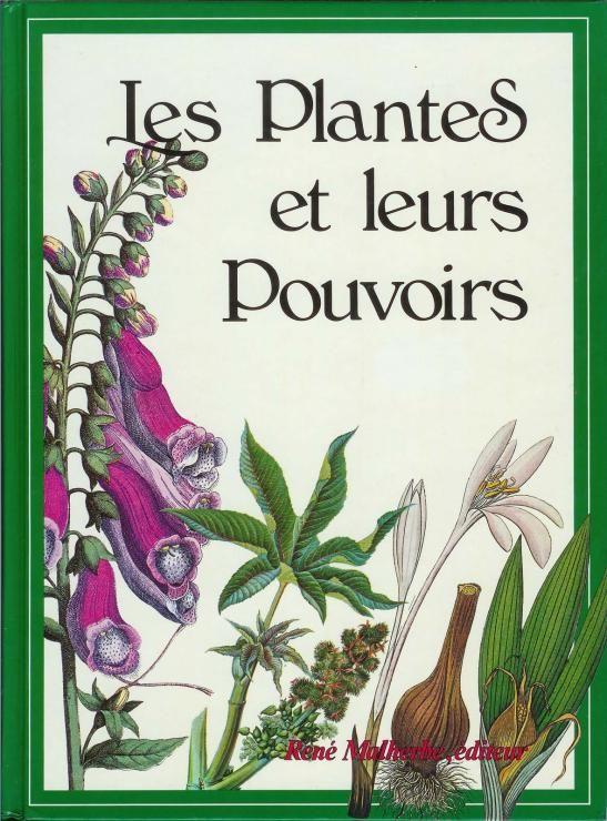 Les Plantes Et Leurs Pouvoirs