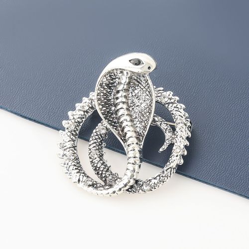 Broche Cobra En Métal Et Acrylique Pour Fille, Jolie Broche Pop Corsage, Accessoires De Fête Du Campus, Nouvelle Mode 2021