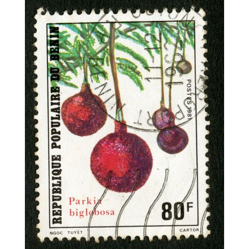 Timbre Oblitéré République Populaire Du Bénin, Parkia Biglobosa, 80f, Postes 1981, Ngoc Tuyet, Cartor