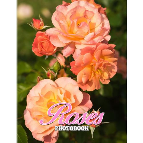 Roses Photography: Symbol Of Love For Couples To Decor For Each Other | With 40+ Pages High Quality Pictures For Decor As Gifts