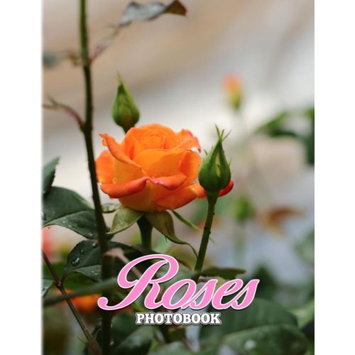 Roses Photography: Symbol Of Love For Couples To Decor For Each Other | With 40+ Pages High Quality Pictures For Decor As Gifts
