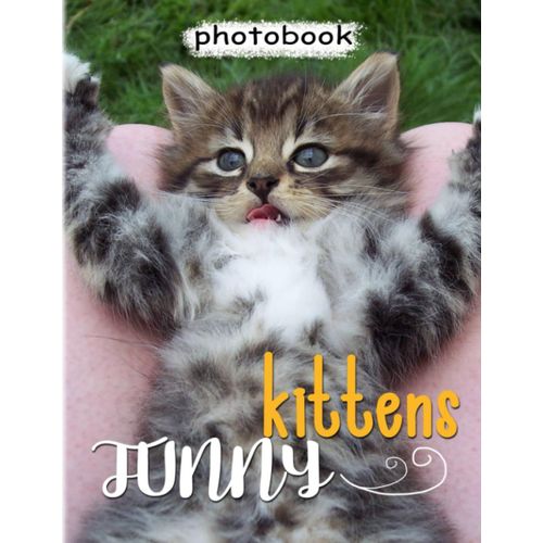 Funny Kittens Photo Book: Picture Book About Cute Baby Cats With 40 Beautiful Photos Inside | Gifts For Your Friends And Homies To Relax