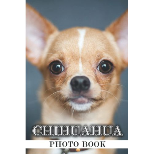 Chihuahua Photo Book: Kawaii Colorful Pictures Featuring A National Symbol Of Mexico For All Ages To Relax And Unwind | Gift Idea For Birthday's Day