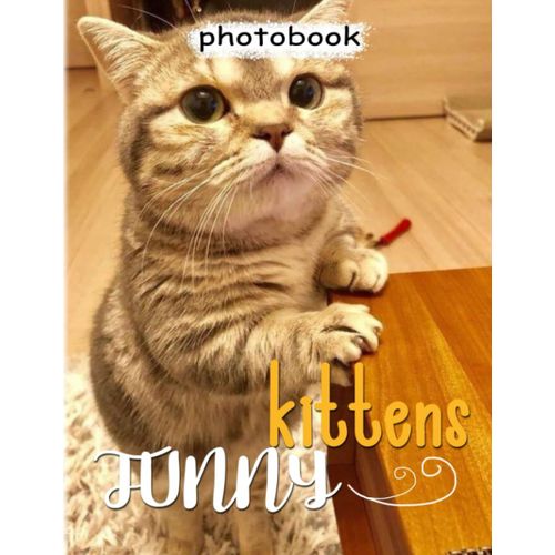 Funny Kittens Photo Book: Picture Book About Cute Baby Cats With 40 Beautiful Photos Inside | Gifts For Your Friends And Homies To Relax