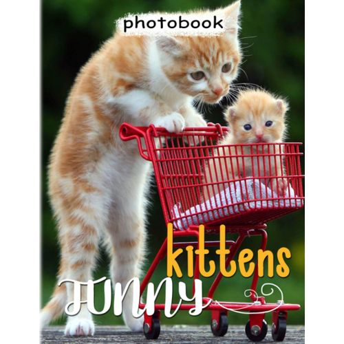 Funny Kittens Photo Book: Photography Book About Baby Cats With 40 Lovely And Funny Photos | Gifts For Children And Adults To Relax