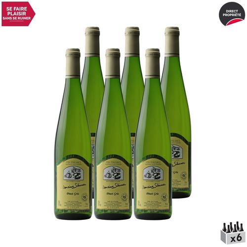 Domaine Schirmer Alsace Pinot Gris Blanc 2021 X6