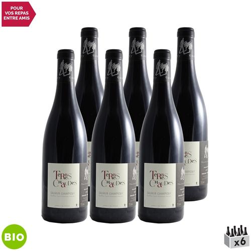 Domaine Des Roches Neuves Saumur-Champigny Terres Chaudes Rouge 2021 X6