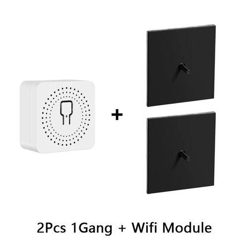 Interrupteur sans fil Wifi avec panneau en acier inoxydable noir,disjoncteur,prise de lumière,Avoir Tuya Smart Life domotique maison intelligente contrôle domotique interupteur - Type 2x1G 1M