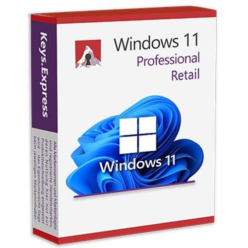 Windows 11 Pro Oem