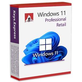 Windows 11 Pro Oem