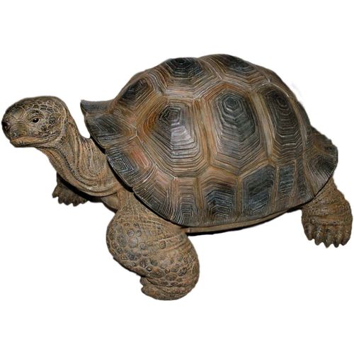 Tortue Géante Des Seychelles En Résine 30 Cm