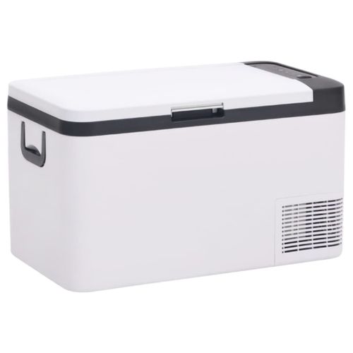 Vidaxl Glacière Avec Poignée Noir Et Blanc 25 L Pp Et Pe