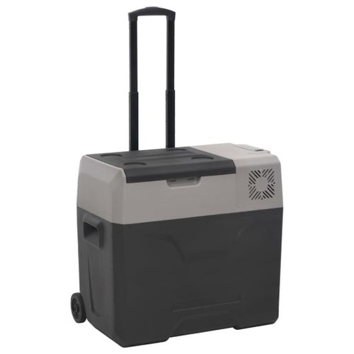 Vidaxl Glacière Avec Roue Et Poignée Noir Et Gris 40 L Polypropylène
