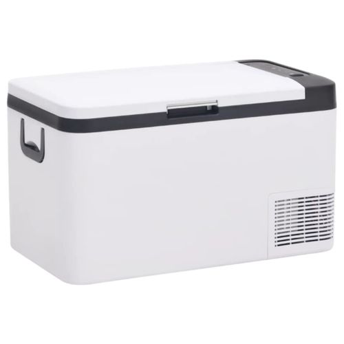 Vidaxl Glacière Avec Poignée Noir Et Blanc 18 L Pp Et Pe