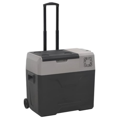 Vidaxl Glacière Avec Roue Et Poignée Noir Et Gris 50 L Polypropylène