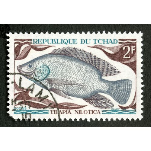 Timbre Oblitéré République Du Tchad, Tilapia Nilotica, Postes, 2 F