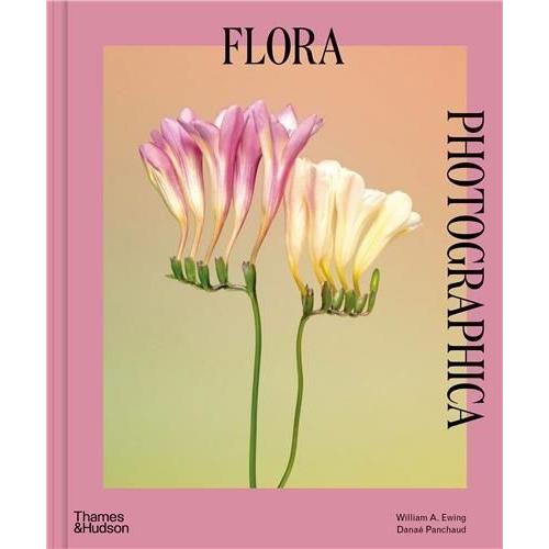 Flora Photographica - The Flower In Contemporary Photography