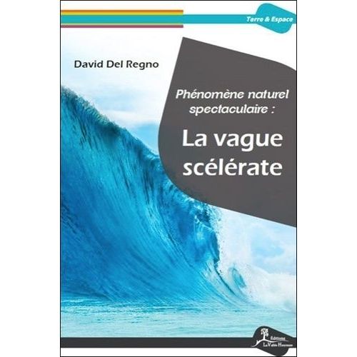 Phénomène Naturel Spectaculaire : La Vague Scélérate