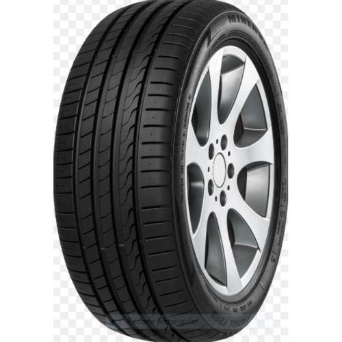 MINERVA 225/50 R17 98Y F205