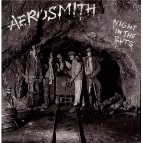 Night In The Ruts - Vinyle 33 Tours