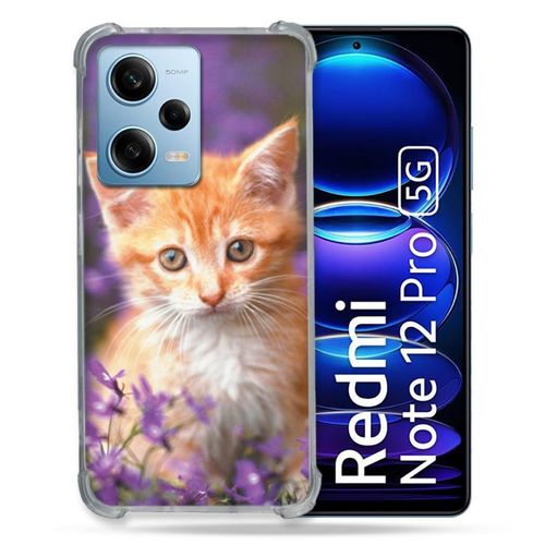 Coque Renforcée Pour Xiaomi Redmi Note 12 Pro 5g Animal Chat Violet