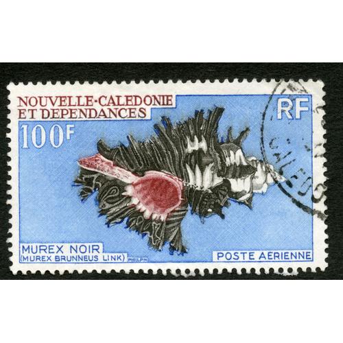 Timbre Oblitéré Nouvelle Calédonie Et Dépendances, Murex Noir, Murex Brunneus Link, Poste Aérienne, Rf, 100 Fr