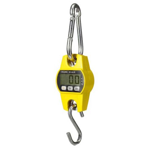 Balance à grue numérique charges lourdes 300 kg / 300 g