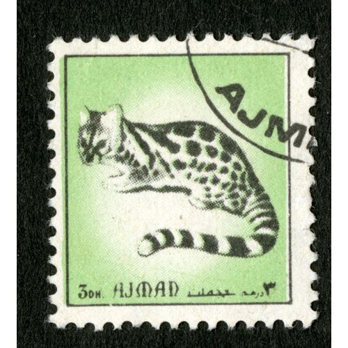 Timbre Oblitéré Ajman, 30 H, Le Chat