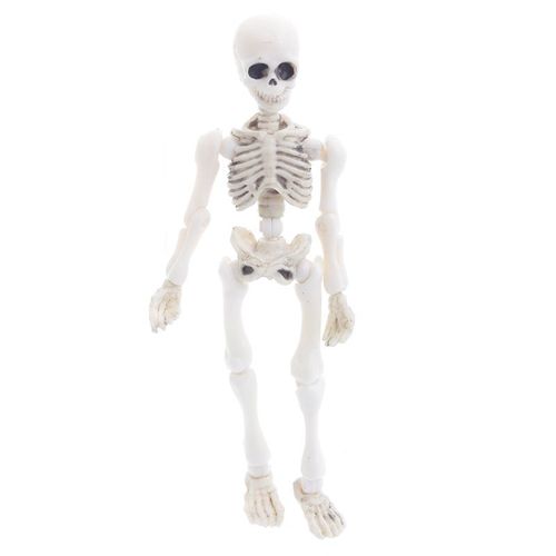 Mini Figurine Mobile M. Bones, Squelette Humain, Modèle Tête De Mort, Corps Complet, Jouet D'halloween, D5qa