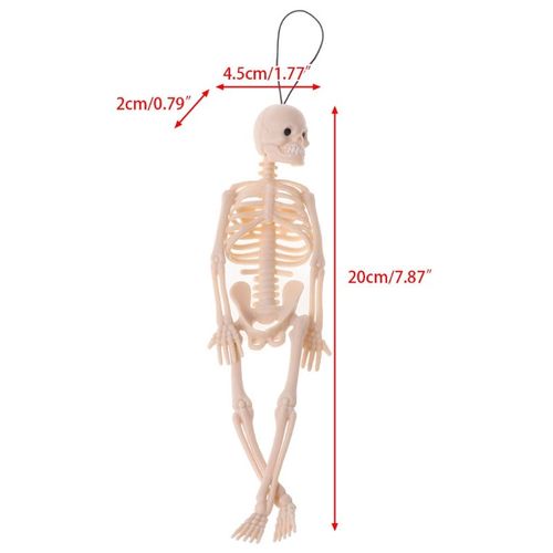 Mini Figurine Squelette Modèle Humain, Crâne, Corps Complet, Jouet, Cintre Pour Téléphone, Halloween D5qa