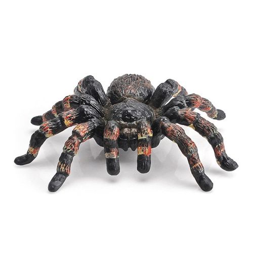 Insecte Réaliste Pour Enfants, Fournitures Scientifiques Pour Enfants, Cadeau D'halloween, Anti-Stress, Cadeau D'anniversaire Pour Enfants D5qa