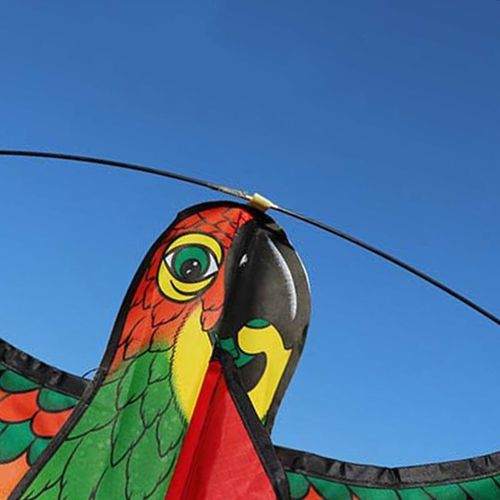 Cerf-Volant Pour Enfants, Jouets D'Extérieur, Perroquet, Oiseaux, D5qa, Nouveauté