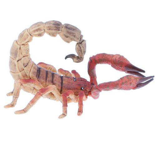 Jouets Créatifs De Simulation De Scorpion Modèle D'insecte Animal Figurine De Jouet De Nouveauté Artisanat De Décoration À La Maison Mode 1pc
