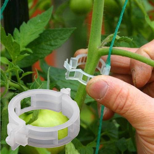 Clips De Support De Plantes En Plastique Réutilisables, 50 Pièces/Ensemble, Clip Pour Plantes Suspendues, Vigne Jardin, Serre, Légumes, Tomates
