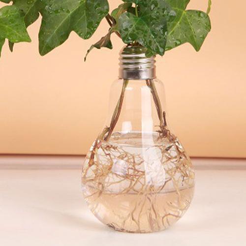 Vase suspendu en verre en forme d'ampoule transparente, conteneur hydroponique de Terrarium, décoration de jardin à faire soi-même