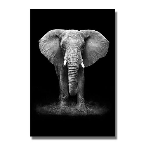 Toile d'éléphant africain noir et blanc, affiches et imprimés, tableau d'art mural pour salon, décoration de la maison Cuadros 40x50cm no frame